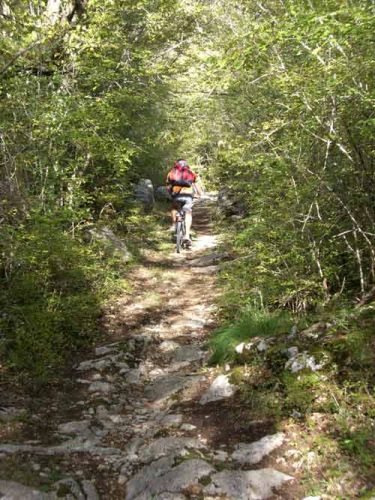krk radfahren mountainbike singletrail