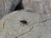 p1030518_800x600.jpg