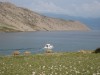 img_2362_800x600.jpg