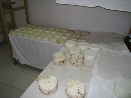 Ziegenkäse in Sveti Ivan