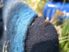 img_2283_800x600.jpg