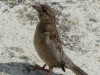 p1030499_800x600.jpg