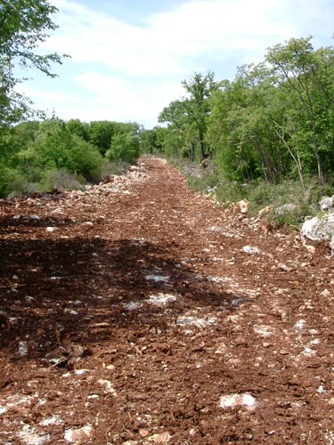 Neuer Wanderweg ?