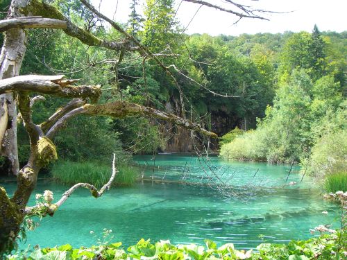 Kroatien Plitvicer Seen wilde SchÃ¶nheit