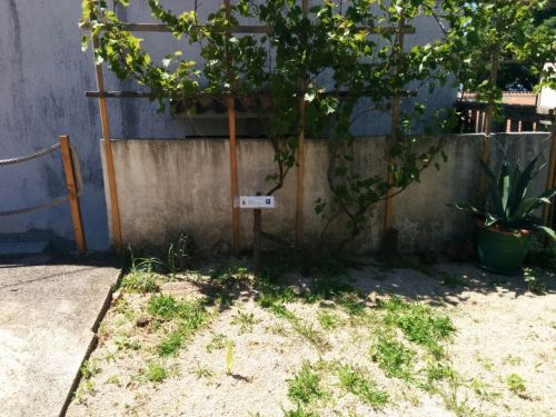 eigener Parkplatz auf dem umzäunten Grundstück