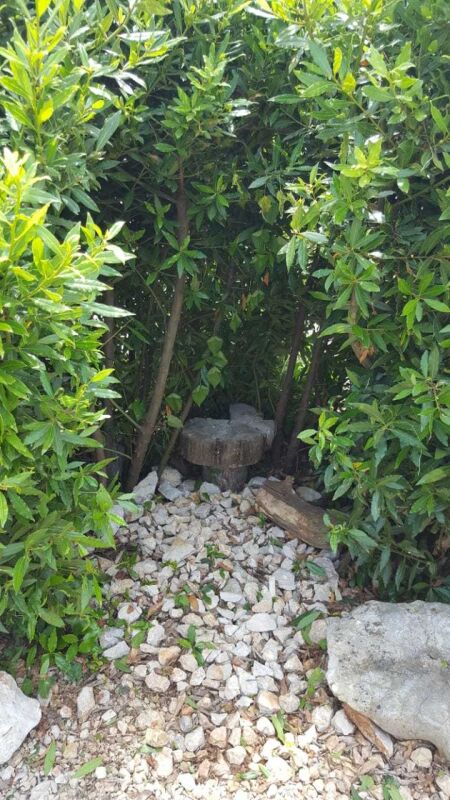 <p>Höhle im Lorbeerbaum</p> <p>Höhle im Lorbeerbaum</p>
