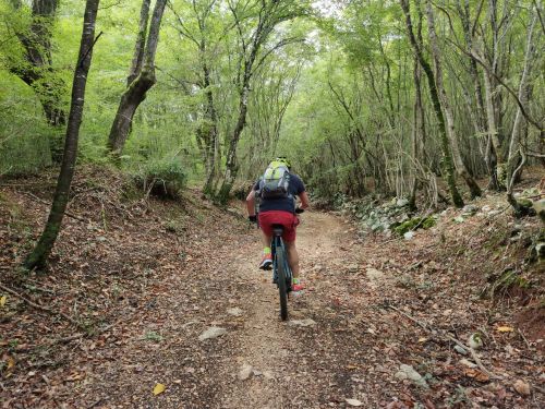 Singletrails durch verwunschene SteineichenwÃ¤lder