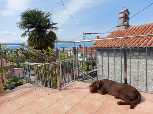 egal ob in den Gärten oder auf den Terrassen, die Hunde fühlen sich wohl