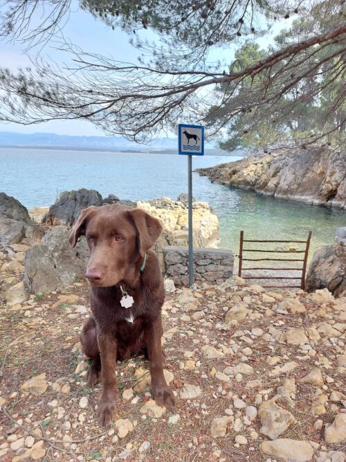 Hundestrand auf der Insel Krk in Porat bei Malinska