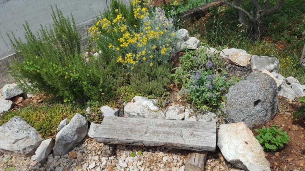 <p>Kräuter</p> <p>Kräuter</p>