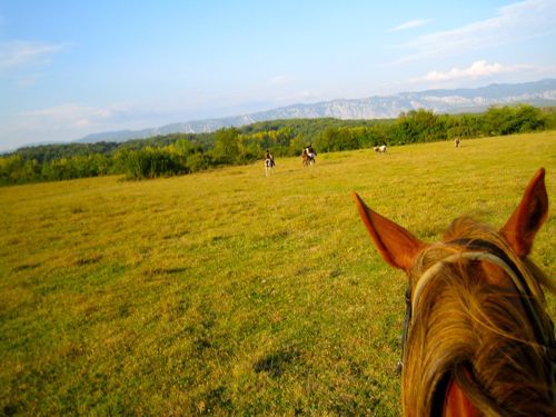 Reiten auf der Insel Krk