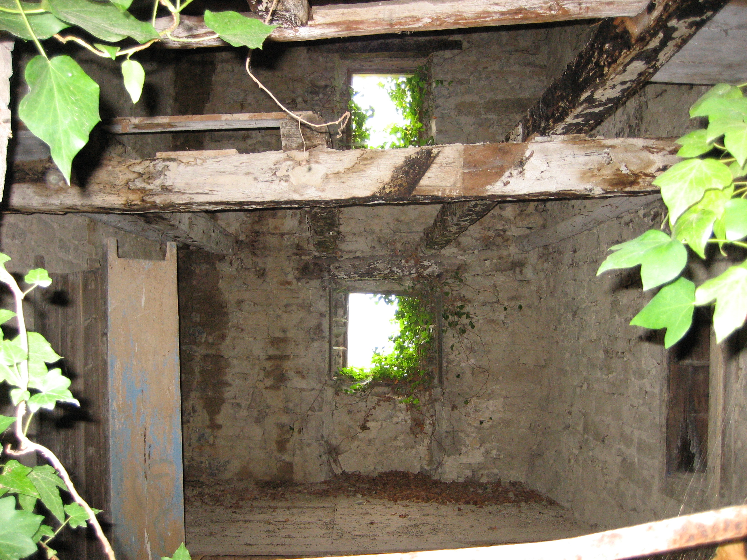 <p>Wir haben viele Ruinen und Bruchbuden besichtigt</p> <p>Wir haben viele Ruinen und Bruchbuden besichtigt</p>