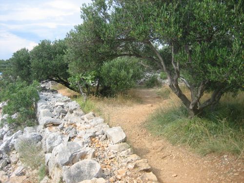 Wanderung Punat - Stara Baska