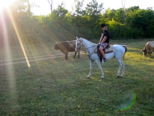 Reiten in Njivice