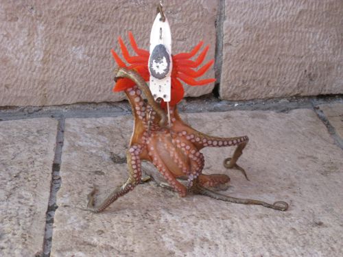 Oktopus am Haken